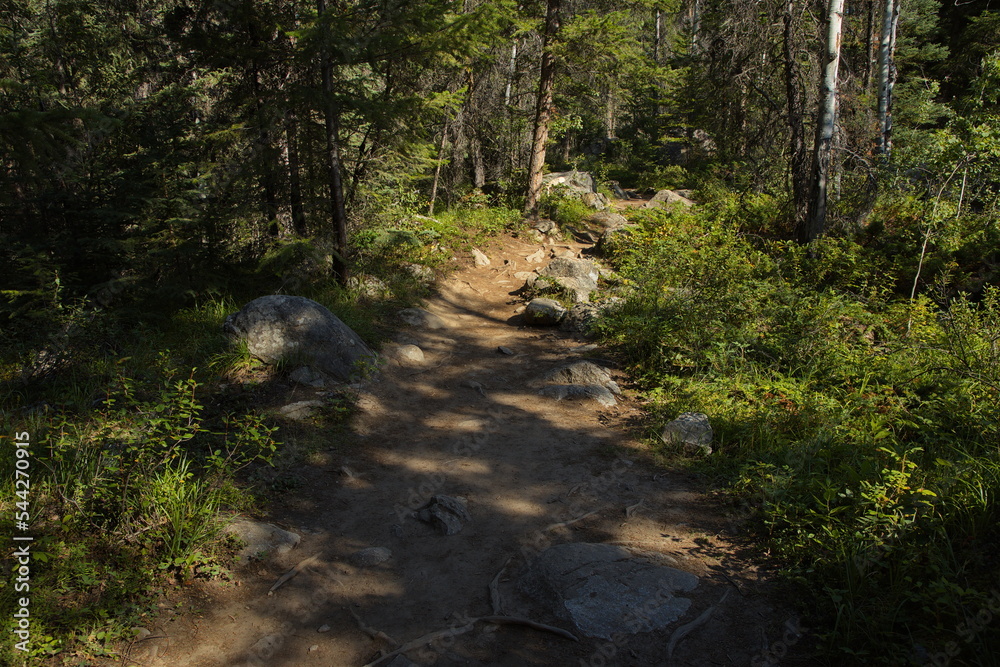 Five Lakes Trail in Jasper National Park,Alberta,Canada,North America
Five Lakes Trail in Jasper National Park,Alberta,Canada,North America