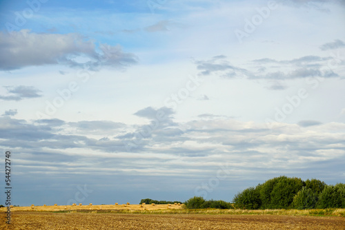 Evening over a compressed field. Blue sky and beautiful clouds. rural view