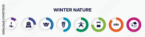 infographic element with winter nature filled icons. included cattail, ticket office, lemur, african mask, gerridae, food cart, safety glasses, blizzard vector.
