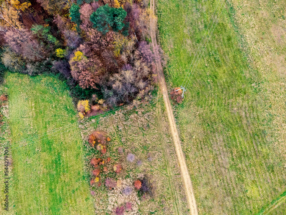 Aerial view. Landscape seen from above. Trees, forest, path, meadow, nature. Photo from a drone.