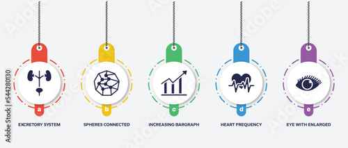 infographic element template with body parts filled icons such as excretory system, spheres connected by lines, increasing bargraph, heart frequency, eye with enlarged pupil vector.