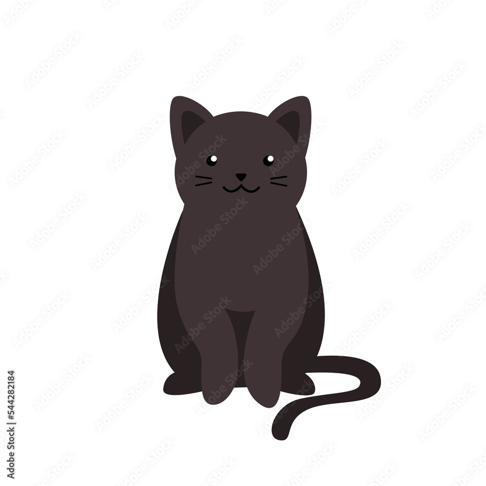 Black kitten sitting - front view