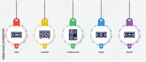 infographic element template with currency filled icons such as som, lockers, curriculum, rand, manat vector.