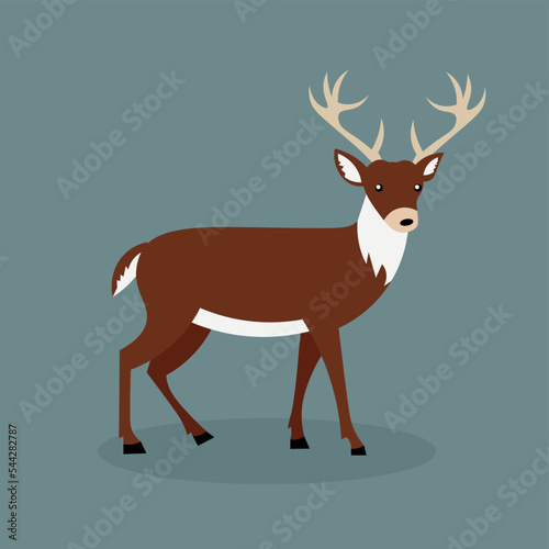 Brown deer with white neck and antlers