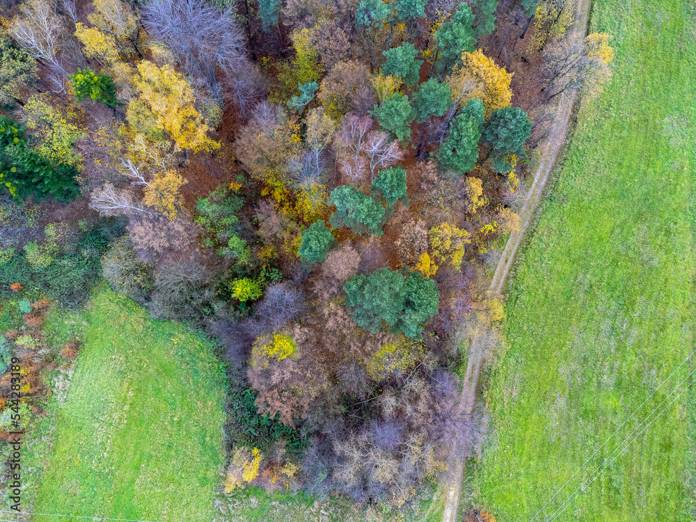 Aerial view. Landscape seen from above. Trees, forest, path, meadow, nature. Photo from a drone.