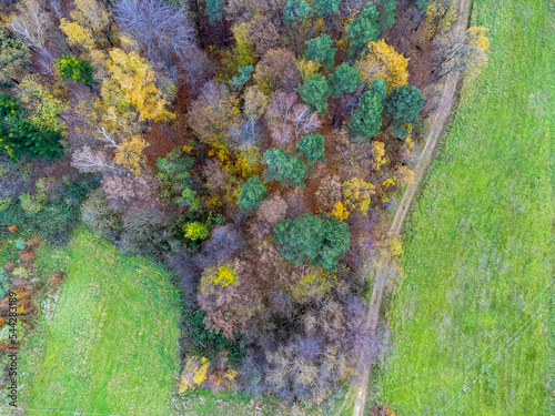 Obraz na płótnie Aerial view. Landscape seen from above. Trees, forest, path, meadow, nature. Photo from a drone. w salonie