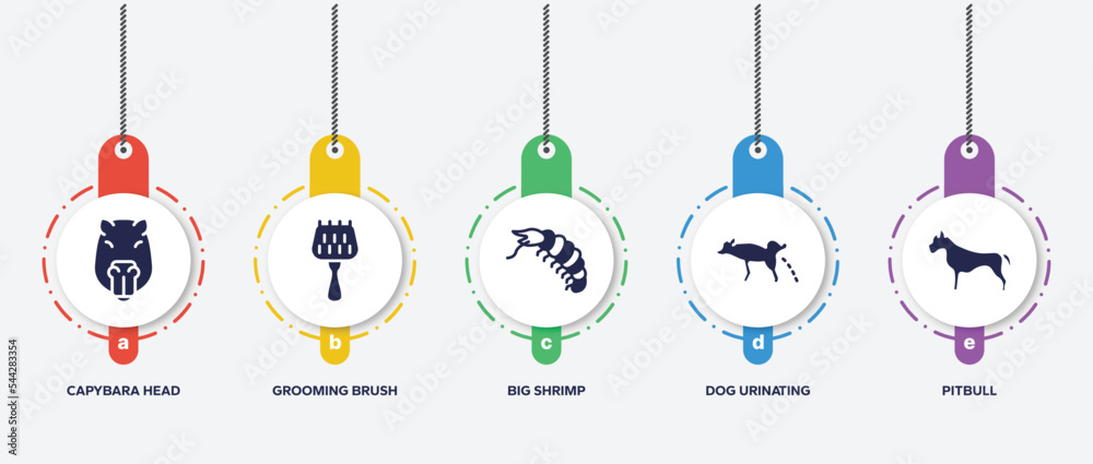infographic element template with dog and training filled icons such as capybara head, grooming brush, big shrimp, dog urinating, pitbull vector. infographic element template with dog and training filled icons such as capybara head, grooming brush, big shrimp, dog urinating, pitbull vector.