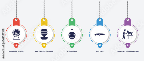 infographic element template with dog and training filled icons such as hamster wheel, water replenisher, sleighbell, big pike, dog and veterinarian vector.