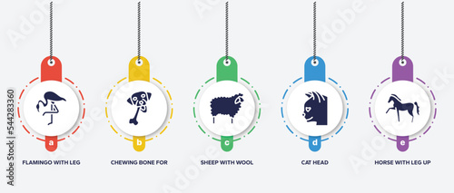 infographic element template with free animals filled icons such as flamingo with leg up, chewing bone for dog, sheep with wool, cat head, horse leg up vector.