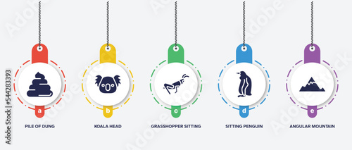 infographic element template with poi nature filled icons such as pile of dung, koala head, grasshopper sitting, sitting penguin, angular mountain vector.