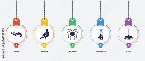 infographic element template with spring filled icons such as slug, pigeon, opiliones, lighthouse, rake vector.