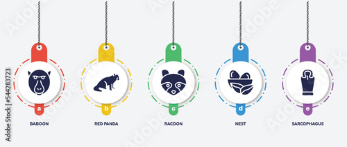 infographic element template with desert filled icons such as baboon, red panda, racoon, nest, sarcophagus vector.