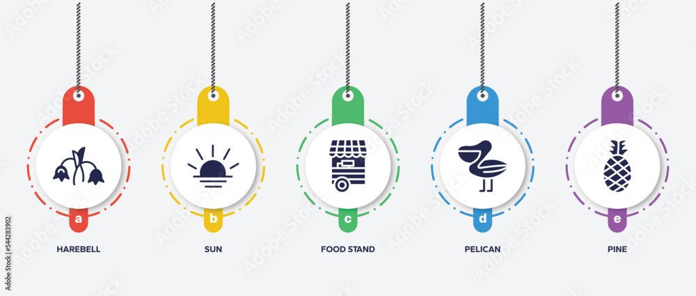 infographic element template with nature filled icons such as harebell, sun, food stand, pelican, pine vector. infographic element template with nature filled icons such as harebell, sun, food stand, pelican, pine vector.