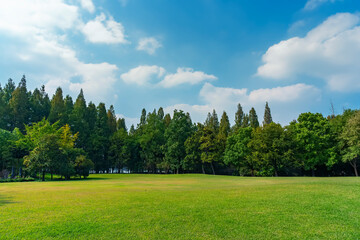 Panorama of big city park