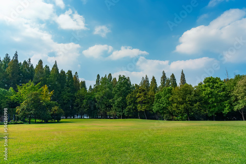 Panorama of big city park