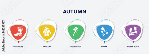 infographic element template with autumn filled icons such as rain boots, raincoat, tree branch, rowan, rubber roots vector.