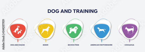 infographic element template with dog and training filled icons such as dog and doggie, boxer, bichon frise, american staffordshire terrier, chihuahua vector.