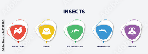 infographic element template with insects filled icons such as pomeranian, pet dish, dog smelling dog, snowshoe cat, hoverfly vector.