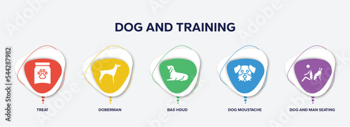 infographic element template with dog and training filled icons such as treat, doberman, bas houd, dog moustache, dog and man seating vector.
