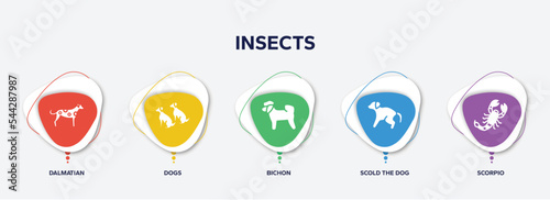 infographic element template with insects filled icons such as dalmatian, dogs, bichon, scold the dog, scorpio vector.