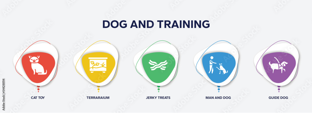 infographic element template with dog and training filled icons such as cat toy, terraraium, jerky treats, man and dog, guide dog vector.