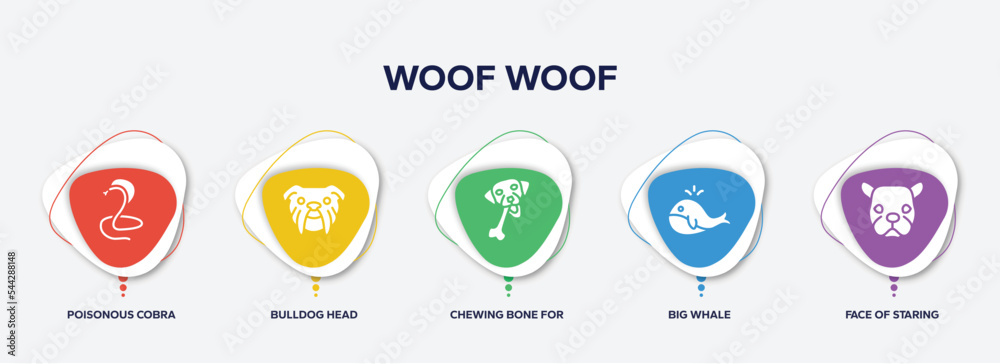 infographic element template with woof woof filled icons such as poisonous cobra, bulldog head, chewing bone for dog, big whale, face of staring dog vector.