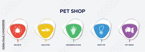 infographic element template with pet shop filled icons such as big mite, gold fish, grooming glove, rope toy, pet dress vector.