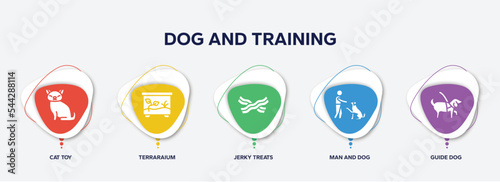 infographic element template with dog and training filled icons such as cat toy, terraraium, jerky treats, man and dog, guide dog vector.
