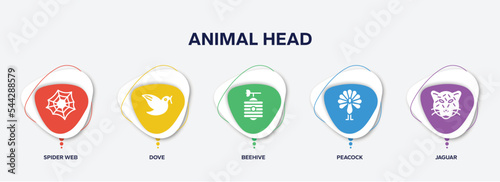 infographic element template with animal head filled icons such as spider web, dove, beehive, peacock, jaguar vector.