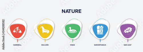 Foto infographic element template with nature filled icons such as harebell, sea lion, swan, sarcophagus, oak leaf vector