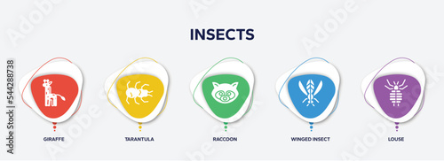 infographic element template with insects filled icons such as giraffe, tarantula, raccoon, winged insect, louse vector.