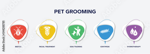 Foto infographic element template with pet grooming filled icons such as beetle, facial treatment, dog training, centipede, hydrotherapy vector