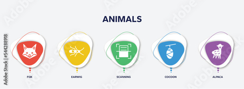 infographic element template with animals filled icons such as fox, earwig, scanning, cocoon, alpaca vector.