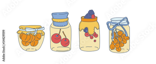Homemade jars of preserving the fruit . Glass jars with stewed fruits and berry jams. Berry compote or marmalade, jam. Autumn harvest season. Vector illustration