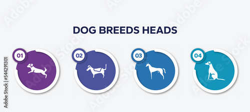 infographic element template with dog breeds heads filled icons such as dog scaping, jack russell terrier, pharaoh hound, pointer dog vector.