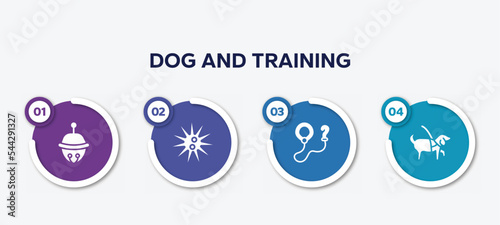 infographic element template with dog and training filled icons such as sleighbell, sea urchin, leash, guide dog vector.