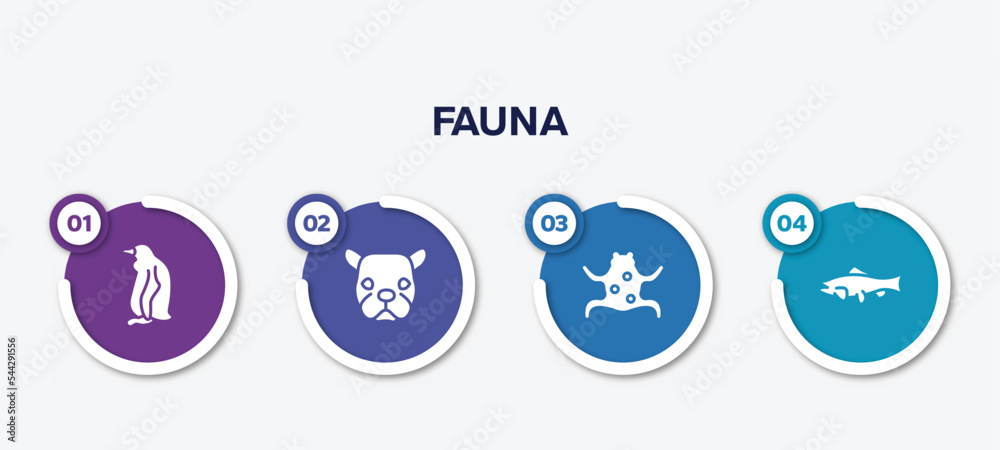 infographic element template with fauna filled icons such as sitting penguin, face of staring dog, tropical frop, big salmon vector. infographic element template with fauna filled icons such as sitting penguin, face of staring dog, tropical frop, big salmon vector.