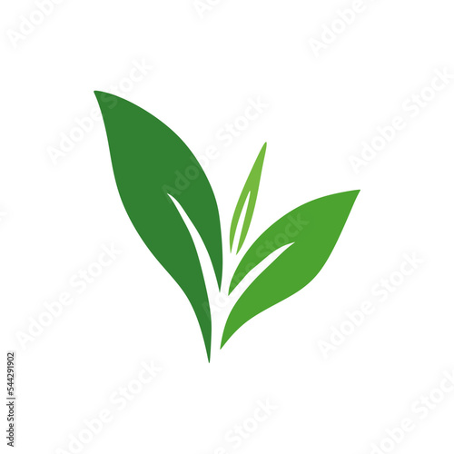 tea shoot icon design illustration