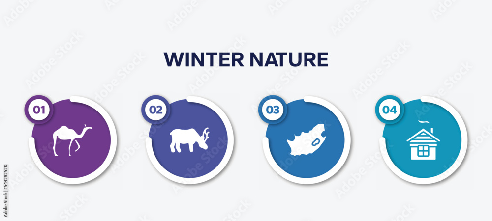 infographic element template with winter nature filled icons such as camel, moose, south africa, chimney vector.