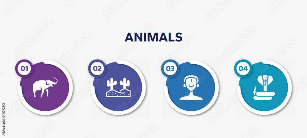 infographic element template with animals filled icons such as safari, desert, african man, cobra vector.