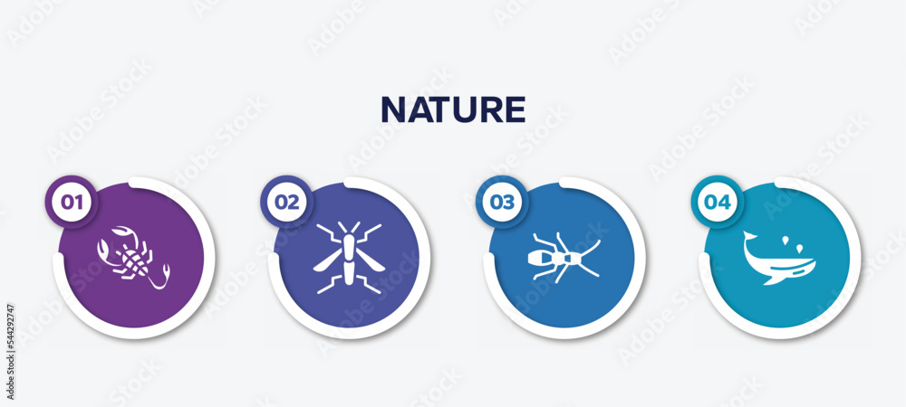 infographic element template with nature filled icons such as scorpion, wasp, earwig, whale vector.