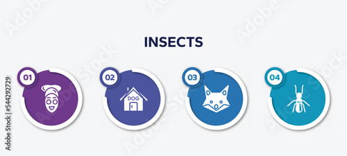 infographic element template with insects filled icons such as facial treatment, dog house, fox, termite vector.