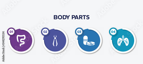 infographic element template with body parts filled icons such as large intestine, forceps of dentist tools, tablet and capsule medications, lungs with the trachea vector.
