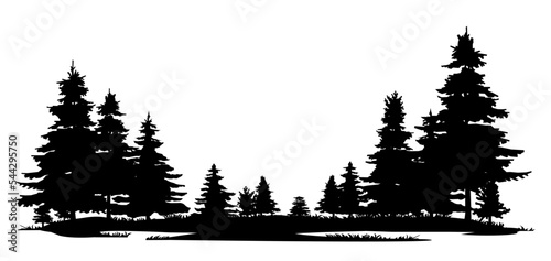 Overgrown patch. Coniferous forest with firs and pines. Landscape with trees and grass. Silhouette picture. Isolated on white background. Vector.