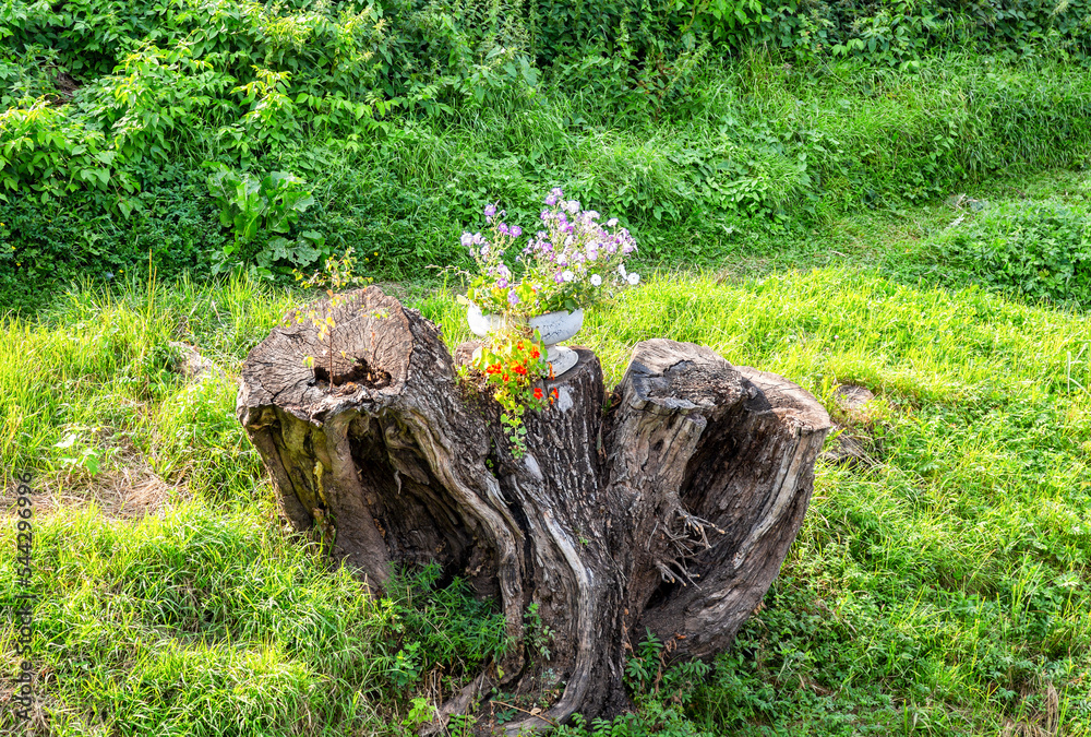 Decorative flowers in the metal vase on the old stump