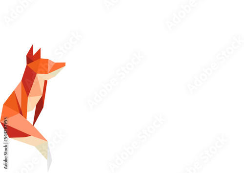 polygon fox design
