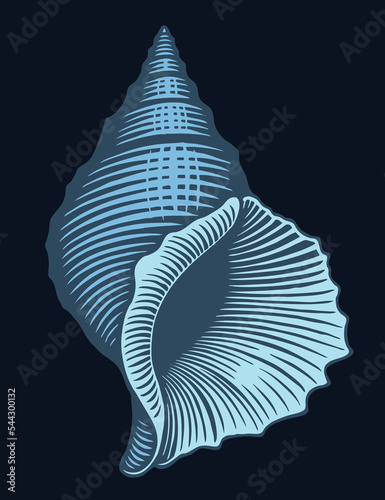 Seashell. Editable hand drawn illustration. Vector vintage engraving. Isolated on black background. 8 eps