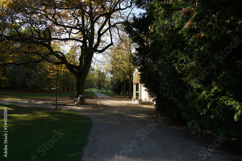 Park for rest with lush greenery © helfei