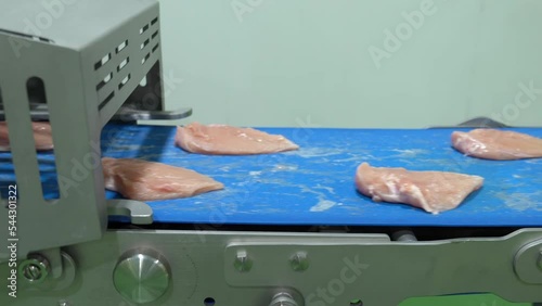 Chicken meat on conveyor belt to automate cutting size machine in modern plant.