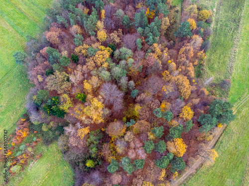 Obraz na płótnie Aerial view. Landscape seen from above. Trees, forest, path, meadow, nature. Photo from a drone. w salonie